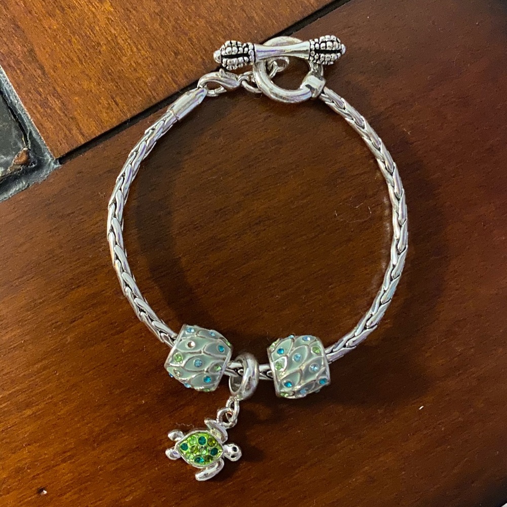 Turtle Charm Bracelet
